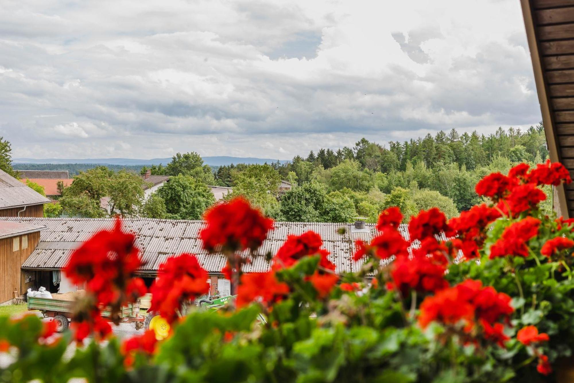 Ferienwohnung Baecher Wiesau Exteriér fotografie