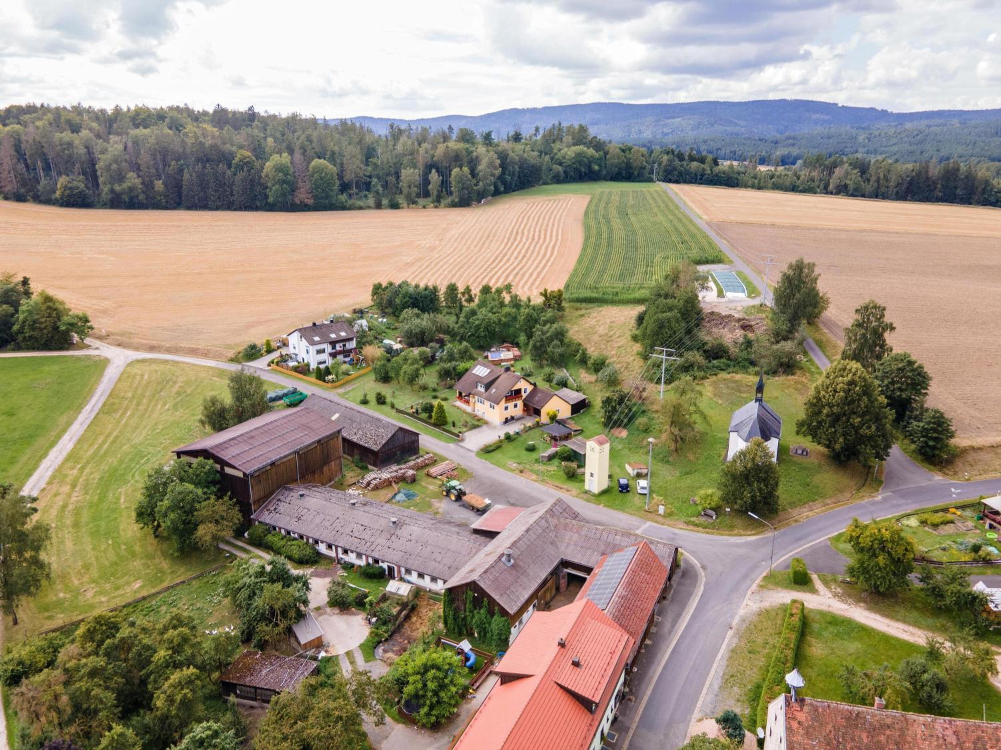 Ferienwohnung Baecher Wiesau Exteriér fotografie